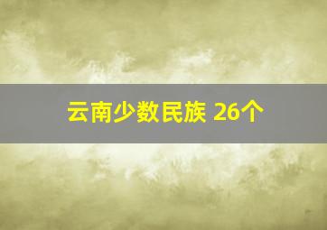 云南少数民族 26个